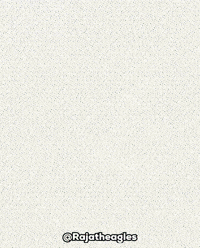 Raja Casablanca Jordan GIF