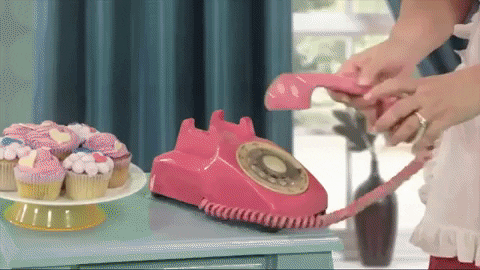 circus111 giphygifmaker GIF