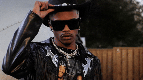 Country Cowboy GIF by Damez