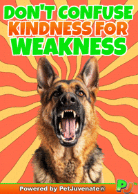 Kindness Is Not Weakness Kind Pj Petjuvenate GIF by PetJuvenate - PJ
