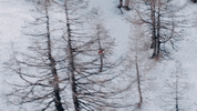 Glacier_3000 winter ski switzerland freeride GIF