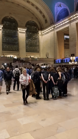 Protesters Gather at New York's Grand Central Station to Demand Ceasefire in Gaza
