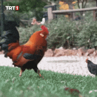 Where Are You Wow GIF by TRT