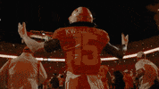 Football Ut GIF by Tennessee Athletics