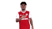 arsenal football soccer celebrate goal Sticker