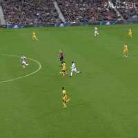 Premier League Sport GIF by CPFC