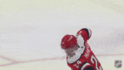 Happy Celebration GIF by NHL
