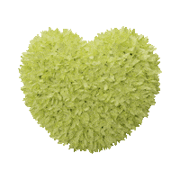 Heart 3D Sticker