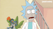 Season 2 Episode 204 GIF by Rick and Morty