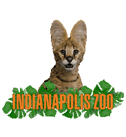 Indyzoo Sticker by Indianapolis Zoo