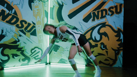 Volleyball Bison GIF by NDSU Athletics