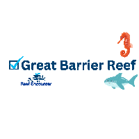 Reef_Experience diving gbr snorkel cairns Sticker