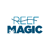 Great Barrier Reef Magic Sticker by Experience Co