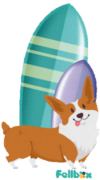 Dogs Sommer Sticker by Fellbox