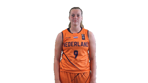 NLbasketball orangelions Sticker