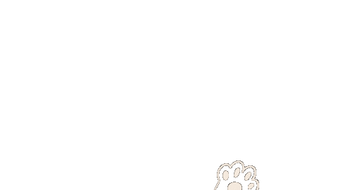 Cat Kitty Sticker