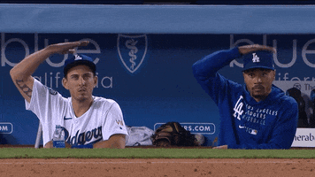 Los Angeles Sport GIF by MLB