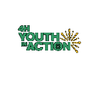 Youth In Action Sticker by 4-H
