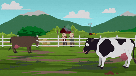 cow mountains GIF by South Park 