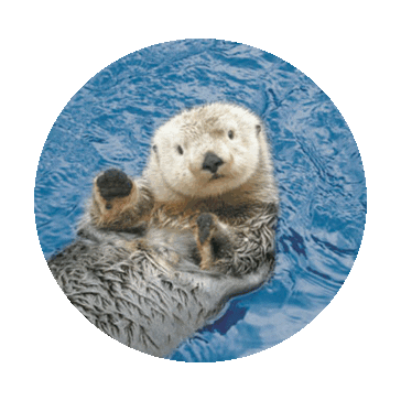Hello Sticker by imoji