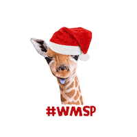Sticker by WMSP