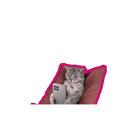 Happy Hour Cat Sticker by Deutsche Telekom