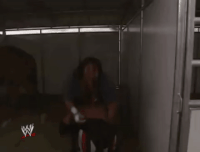 terry funk horse GIF