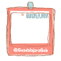 Gobierno-de-Guadalajara pink polaroid marco guadalajara Sticker