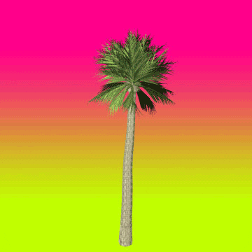 Palm Tree Summer GIF by Paula Morales