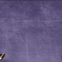 Kdub GIF by KWC Panthers