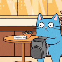Stealing Blue Cat GIF