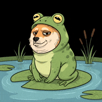 Shiba Inu Smiling GIF by Doge Pound