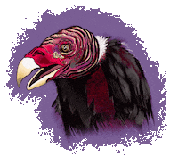 danegoodies halloween bird vulture roadkill Sticker