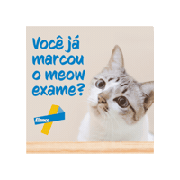 Gato Sticker by Elanco Brasil