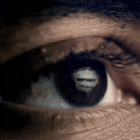 Eyes What GIF by TRT