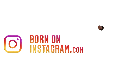 Vanshsinghal Sticker by BORN ON INSTAGRAM