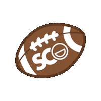 Football Smile Sticker by sceniccityortho