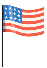 Independence Day Flag Sticker by Fern