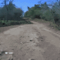 Wrc GIF by FIA World Rally Championship