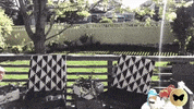 Dance Party GIF by HiCurious