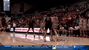GIF by Stanford Athletics