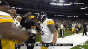 Pittsburgh Steelers Football GIF by NFL