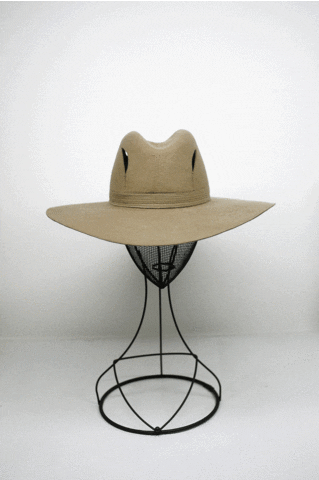 fedora GIF