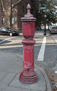 nyc fig GIF by hateplow