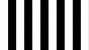 Presentation Sksturm GIF by SK Sturm Graz