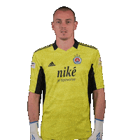 Football Soccer Sticker by Fortuna Liga