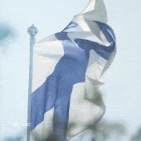 Finnish Flag Finland GIF by FIA World Rally Championship