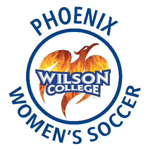 Womens Soccer Sticker by Wilson College