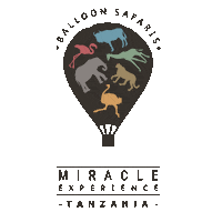 miracleexperience miracle tanzania arusha hotairbaloon Sticker