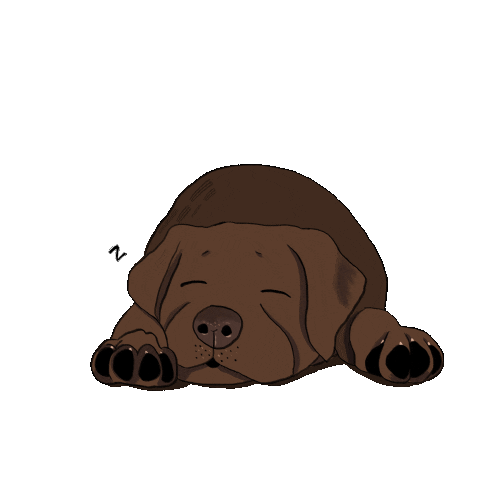 28bysamwood1 fitness health sweat labrador Sticker